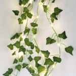 Fairy LED Lights