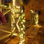 Fairy LED Lights