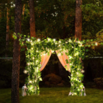 Fairy LED Lights
